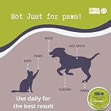 Noseprint Bio-Nasen- und Pfotenbalsam, 30 ml, 100 % natürlich, für Hunde, Feuchtigkeitspflege, spendet Feuchtigkeit und Konditionen, lindert trockene, rissige Pads (30 ml, 1), Weiß