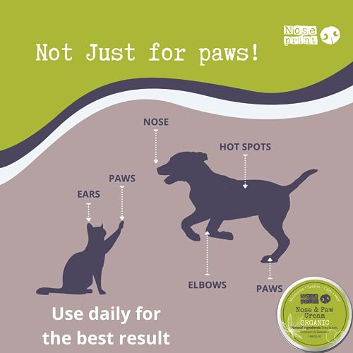 Noseprint Bio-Nasen- und Pfotenbalsam, 30 ml, 100 % natürlich, für Hunde, Feuchtigkeitspflege, spendet Feuchtigkeit und Konditionen, lindert trockene, rissige Pads (30 ml, 1), Weiß