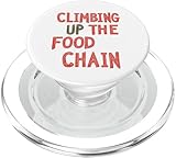 Food Chain