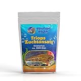 Triops King Triops Granarius Urzeitkrebse Zuchtansatz mit ca. 300 Eiern - Asiatische Urzeitkrebse Triopseier im Eier-Sand-Gemisch mit wertvollen Bakterien für eine erfolgreiche Triopszucht