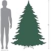 Northlight 6' Pre-Lit Pencil Flocked Green Pine Artificial Christmas Tree - Clear Lights