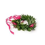coronedilaurea.com