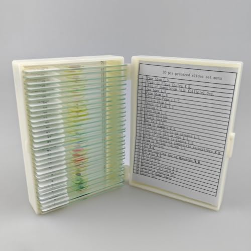Image of 30 Pcs Microscope Slides Prepared Biology Specimen Lab Sample with Insects Plants Science Learning Home School