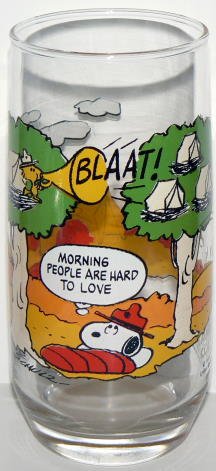 Camp SNOOPY Collection ~ McDonald's Glass