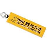 Dog Reactive Leash Wrap, Training in Progress Yellow Warning Sleeve with Heart Snap Hook, Highly Visible Lead Cover for Nervous & Anxious Pets, Durable Double-Sided Canvas