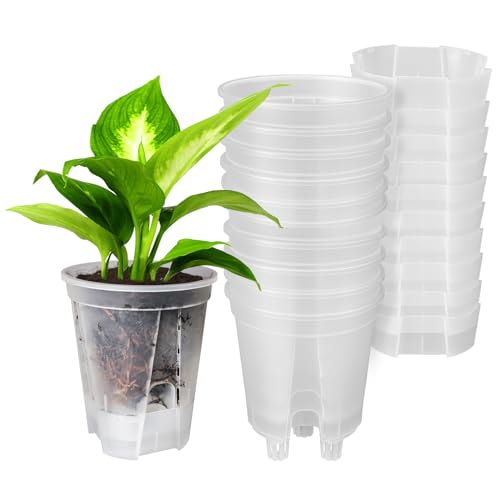 GREENPARA 5-Inch Self-Watering Plant Pots - 10-Pack Clear Plastic Planter with Deep Reservoir Drainage Holes for Indoor Outdoor Gardens Herbs Succulents and Flowers