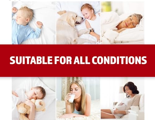 Image of Kitten Bite 100% Waterproof Premium Cotton Feel Mattress Protector Queen Size, 78x60 Inches | Breathable and Hypoallergenic Ultra Soft Fitted Bed Protector Cover Fits Upto 10 Inches- Queen (Maroon)