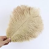 Matériaux naturels : les plumes sont naturelles, inodores et non toxiques.