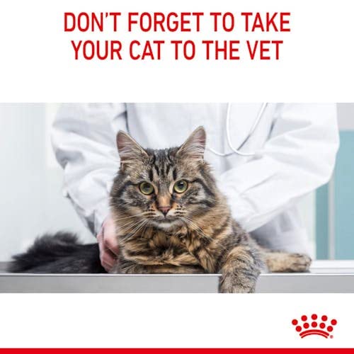 Royal Canin Hair & Skin Care Jelly | Doppelpack | 2 x 12 x 85 g | Alleinfuttermittel für Erwachsene Katzen | Stückchen in Gelee | Zur Unterstützung von Haut und Fell | Mit Omega-3