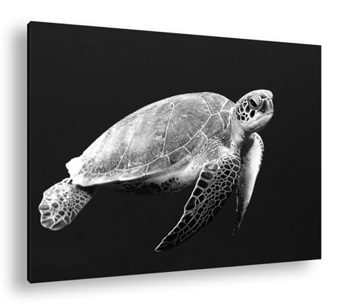 Tortue de mer deyoli impression noir et blanc art sérénité océan