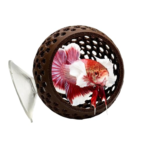 CTWPets Natural Betta Bulb Hide | Betta Rest Fish Tank
