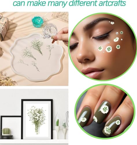 Flores Secas Presionadas White Babys Breath 130 Piezas miniatura 5