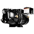 Red Lion PumpWorks 1/2 HP, 7.4 GPM, 115/230 Volt PWJET50 Cast Iron Shallow Well Jet Pump, Black 97080501