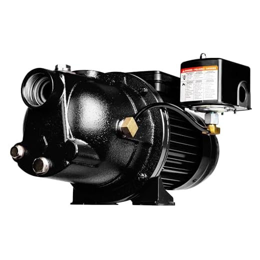 Red Lion PWJET50 Cast Iron Shallow Well Jet Pump Wells up to 25 Feet