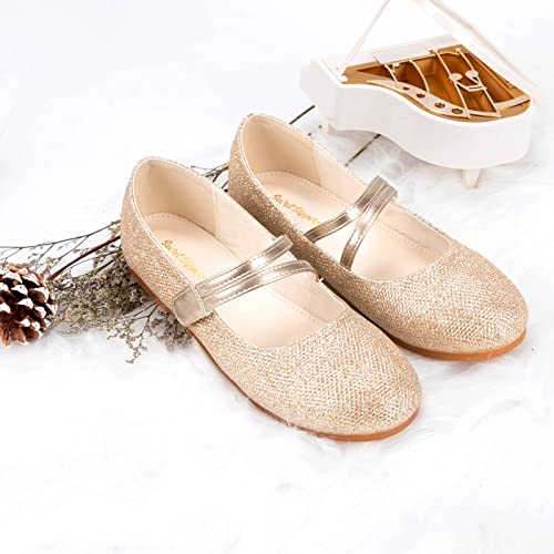Girls Flats Mary Jane Shoes Dress Shoes for Girl Ballet Flats Back to School Princess Wedding Shoes (Little Kid/Big Kids) 6