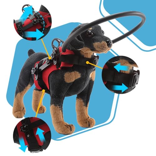 Hilfe Für Blinde Hunde - Schutz-Halo-Halsband Für Blinde Hunde | Sicherheitsführungsstoßstange Schutzhalsband-Zubehör Für Outdoor-Spaziergänge