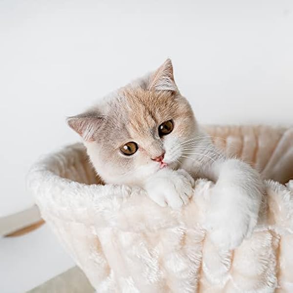 Rascador para Gatos Grandes Corner Crema arbol XXL Maine Coon Gato Gigante sisal Muebles Sofa casa Escalador casita Torre Árboles rascadores Cama Cueva Repuesto medianos