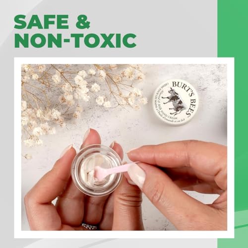 image for Kopperko 500 Pack 2.5 Inch Cosmetic Spatulas - Small Plastic Spatula f