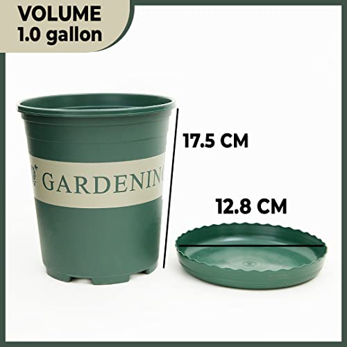 Image of UMAI Plastic Plant Pot|Indoor & Outdoor Plant Pot with Tray|Durable & Lightweight|Water Drainage Holes|Plastic Flower Pot for Patio, Garden, Home, & Office|Mini|Green