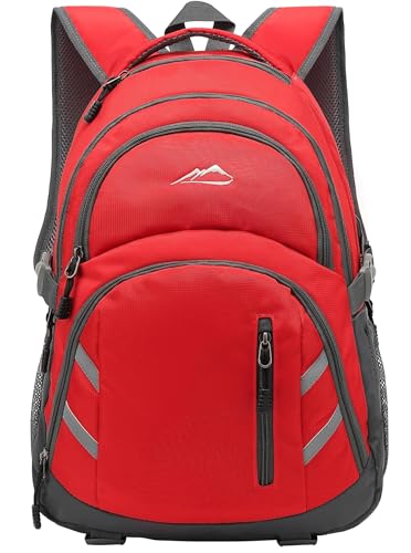 ProEtrade Backpack Bookbag for College Laptop Travel Fit Laptop Up to 15.6 inch with USB Charging Port Multi Compartment Anti theft Gift for Women Men (Red)