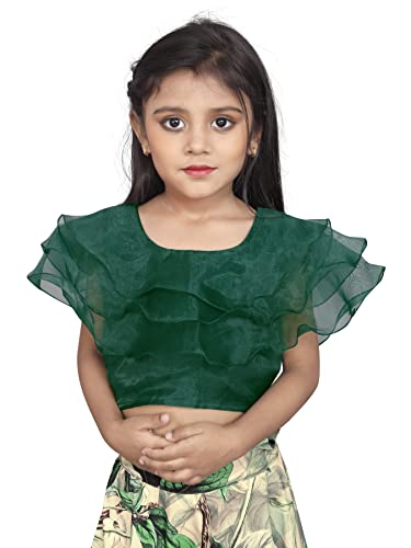 Image of Integrity baby girls net & orgenza lehanga choli (2-8 Years)