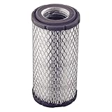 EZGO 28463G01 Air Filter Element (Canister Style)
