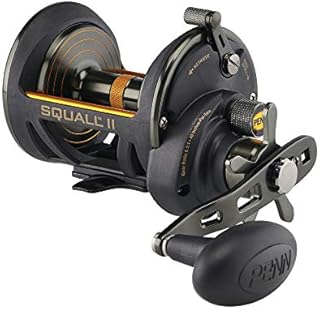 PENN Fishing Squall II Star Drag Conventional Fishing Reel, Black Gold, SQLII15SD (SQLII15SD)