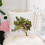 ✿【Perfection de la décoration】Nos taies d'oreiller peuvent vous aider à changer rapidement la décoration de votre maison. L'impression sur la taie d'oreiller est très claire et vive. Les couleurs sont très riches et vibrantes. Nos housses de coussin délicates sont sûres d'ajouter de la fraîcheur et de la vitalité à votre maison douillette et de gagner les impressions de vos invités.