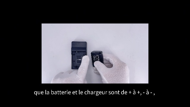 Chargeur USB Pour Batterie Sony NP-FW50 - Compatible Alpha, NEX, ILCE, Petit Et Léger, Voyage