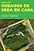 CÓMO CRIAR GUSANOS DE SEDA EN CASA: Aprende a cuidar estos insectos con éxito y los pasos necesarios para disfrutar de su crianza con niños o hacer un negocio con la seda y ganar dinero