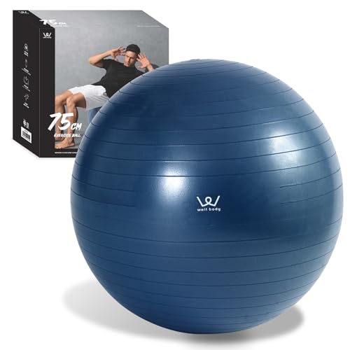 アルインコ バランスボール 75cm WBF075