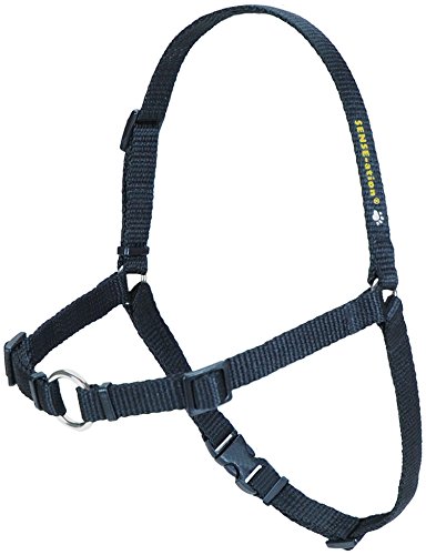 Softouch SENSE-ation No-Pull Dog Harness (Black, Large Narrow)