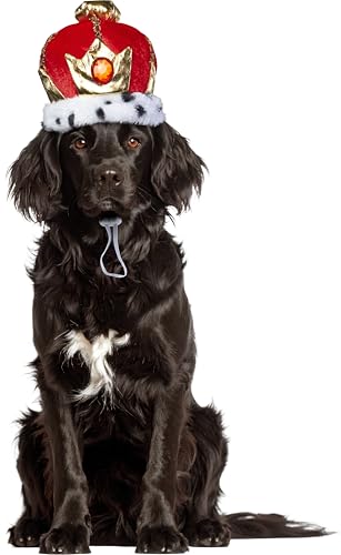 Rubies King Pet Crown for Dogs or Cats, M/L