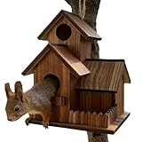 Comedero para ardillas, parque infantil