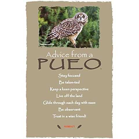 Your True Nature Postcards 12 Pack - Advice From a Pueo - Hawai'i 12 Inspiring & Uplifting Art Cards Made with Recycled Materials PCADVPUEO12-NDHI Cover