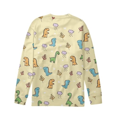 Boy Sweatshirts Cartoon Novelty Round Neck Pullover Dinosaur Graphic Tops Clothing Shirts 6-16T2
