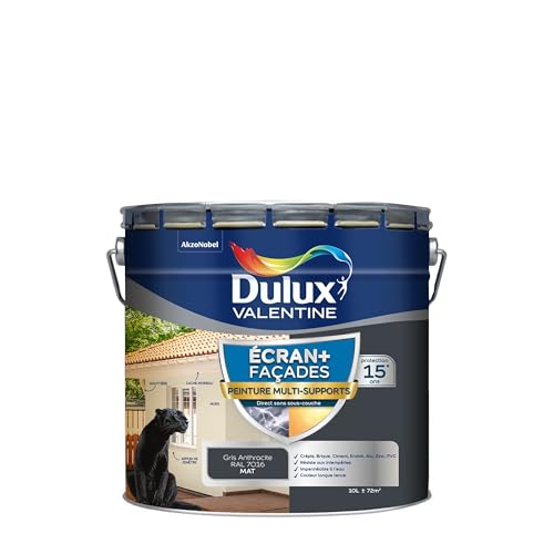Dulux Valentine Peinture Ecran+ Multi-Supports Extérieure Façades - Crépis, Briques, Ciment, Enduit, Alu, Zinc, PVC - Couleur Longue Tenue - Mat Gris...