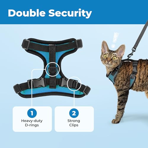 Image of Voyager Escape-Proof Step-in Lock Cat Harness & 5ft Neoprene-Handle Leash Set All-Weather Mesh with Reflective Stitching for Small to Large Cats by Best Pet Supplies, Black Trim-Turquoise (327), S