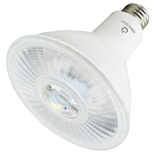 Green Creative 57809 PAR38 Flood LED Lightbulb, 3000K (Soft White), Dimmable, 14.5W, 1050 lm, Energy Star, 40°