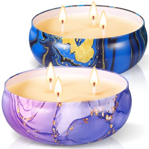 ZHHGOO 2 Piezas Velas Citronela Grande,Velas Aromáticas con Cera de Soja Natural y Aceite de Citronela,Vela de Citronela per Exterior Interior para Jardín,Camping,Balcón,Hogar,Picnic