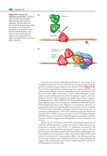 La Cellula. Un Approccio Molecolare - 3