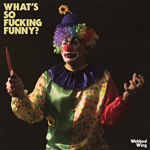 Pochette de What'S So Fucking Funny?