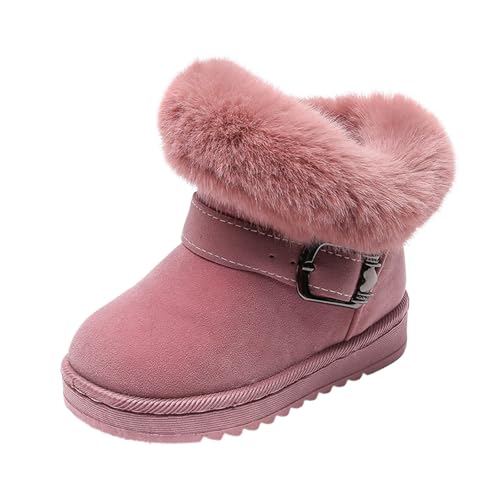 [gu[c LbY u[c xr[ ~ V[gu[c {A q C ̎q j̎q h  L g V[Y h h ۉ  ₷ ~ ӂӂ y  V ʊw ʉ jp(sN,17.5 cm