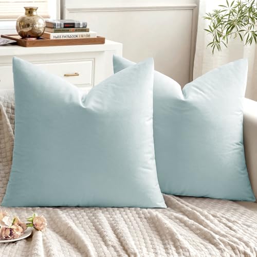 EMEMA Pack of 2 Velvet Pillow Covers Decorative Square Pillowcase Soft Solid Cushion Case for Sofa Bedroom Car 18x18 Inch Baby Blue