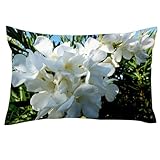 Taille disponible en 40,6 x 61 cm, standard (50,8 x 66 cm), grand lit (50,8 x 76,2 cm), king size (50,8 x 91,4 cm). Contenu : 1 housse de coussin de canapé. Housses uniquement.