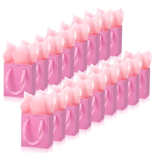 Tenare 12 X[MtgobO ~jy[p[obO oN ȃeBbV WG[bv nEB Ӎ NX}X ap[eB[ ii (7 x 4 x 9C`AsN)