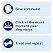 PetSafe Clik-R Training Tool – Clicker Trainer for Dogs – Positive Reinforcement – Dog Training Marker – All Stages of Life – Ergonomic Design – Clear Click Sound