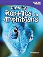 洋書 Reptile and Amphibians 2nd edition 洋書 Reptile and Amphibians 2nd edition Reptiles and