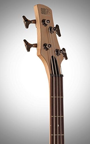 Amazon.com: Ibanez SR300 bajo eléctrico Guitarra (Champagne Gold) :  Instrumentos Musicales