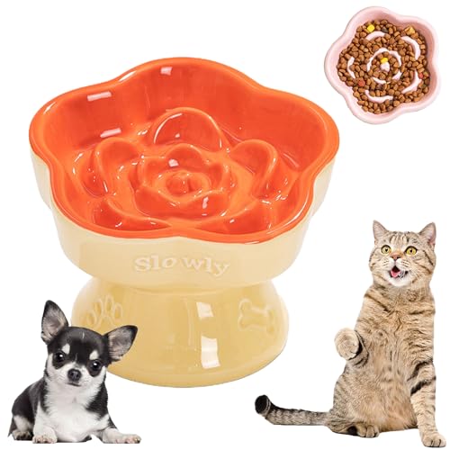 PVTKybgH Hh~@\ X΍݌v ELp ^E^Ew̍ɓK ݕth~ HaS 킢fUC f qI ꗎ₷ ybg̐ېHpP ߐH⒂XNጸ zuɓK ϋv ybg